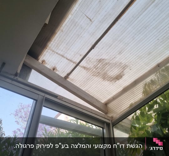 תקרת פרגולה עם חלון זכוכית ועצים ברקע